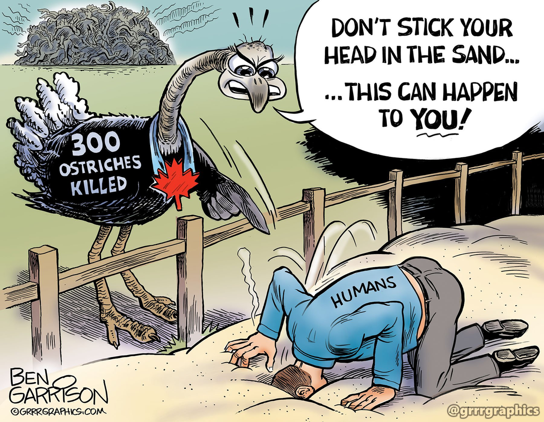 Canada’s Killing Fields panel 1